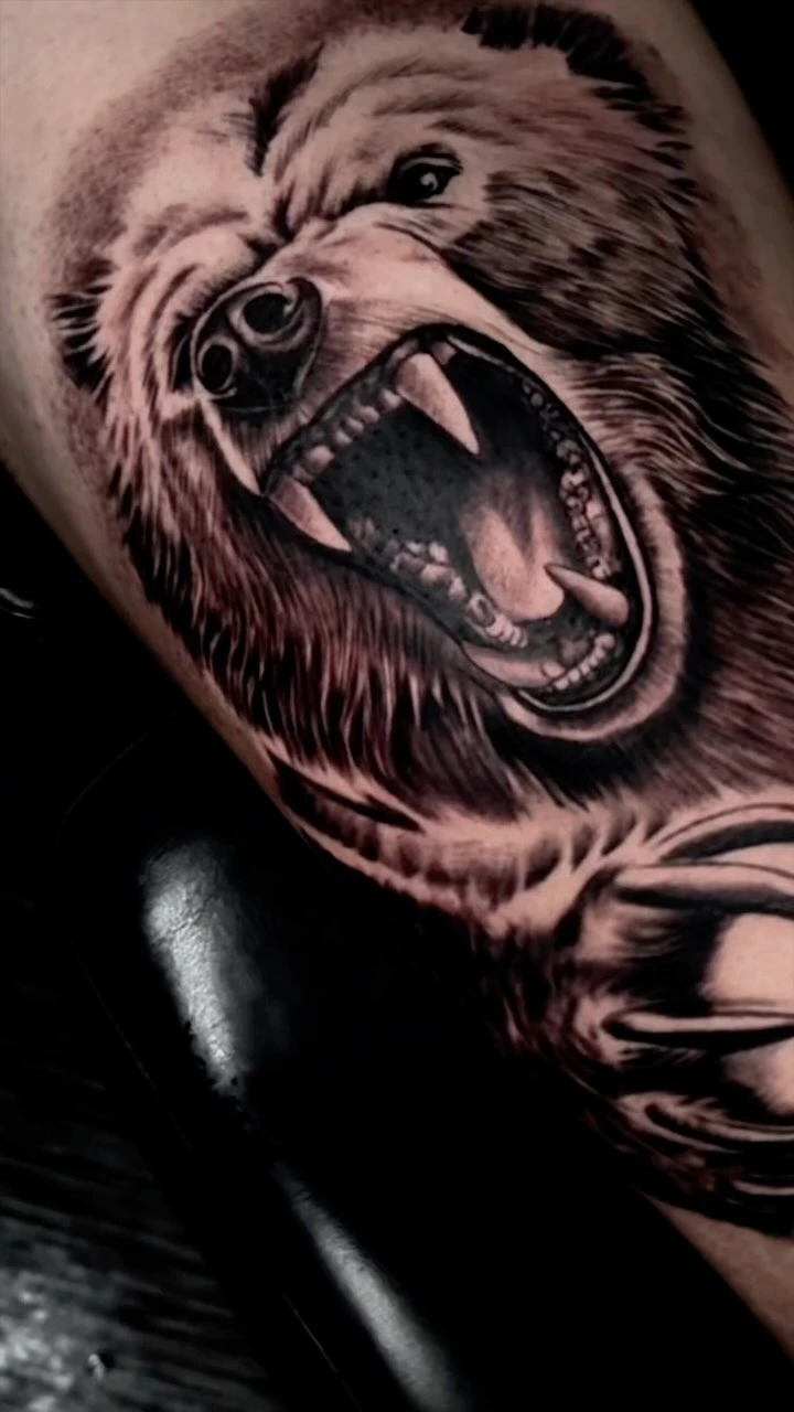 Roaring grizzly bear with claw, snarling portrait