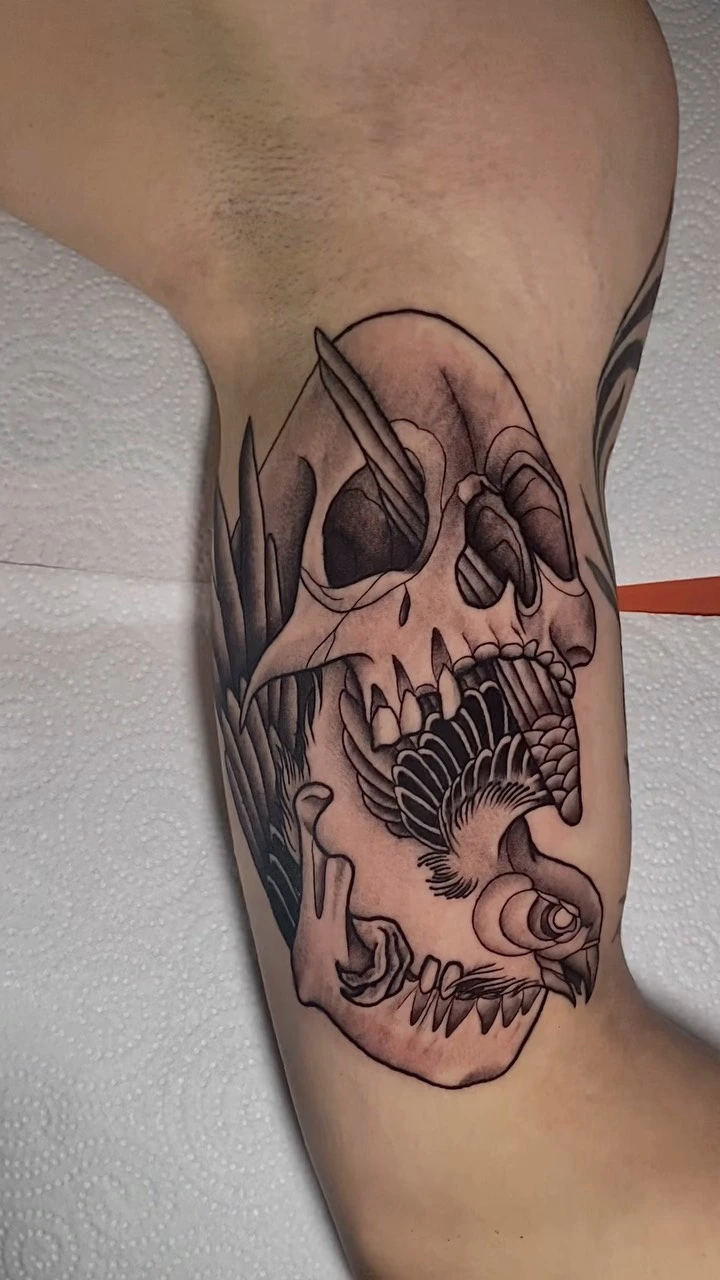 Skull-bird hybrid (skull cracking open with eagle/raven inside)