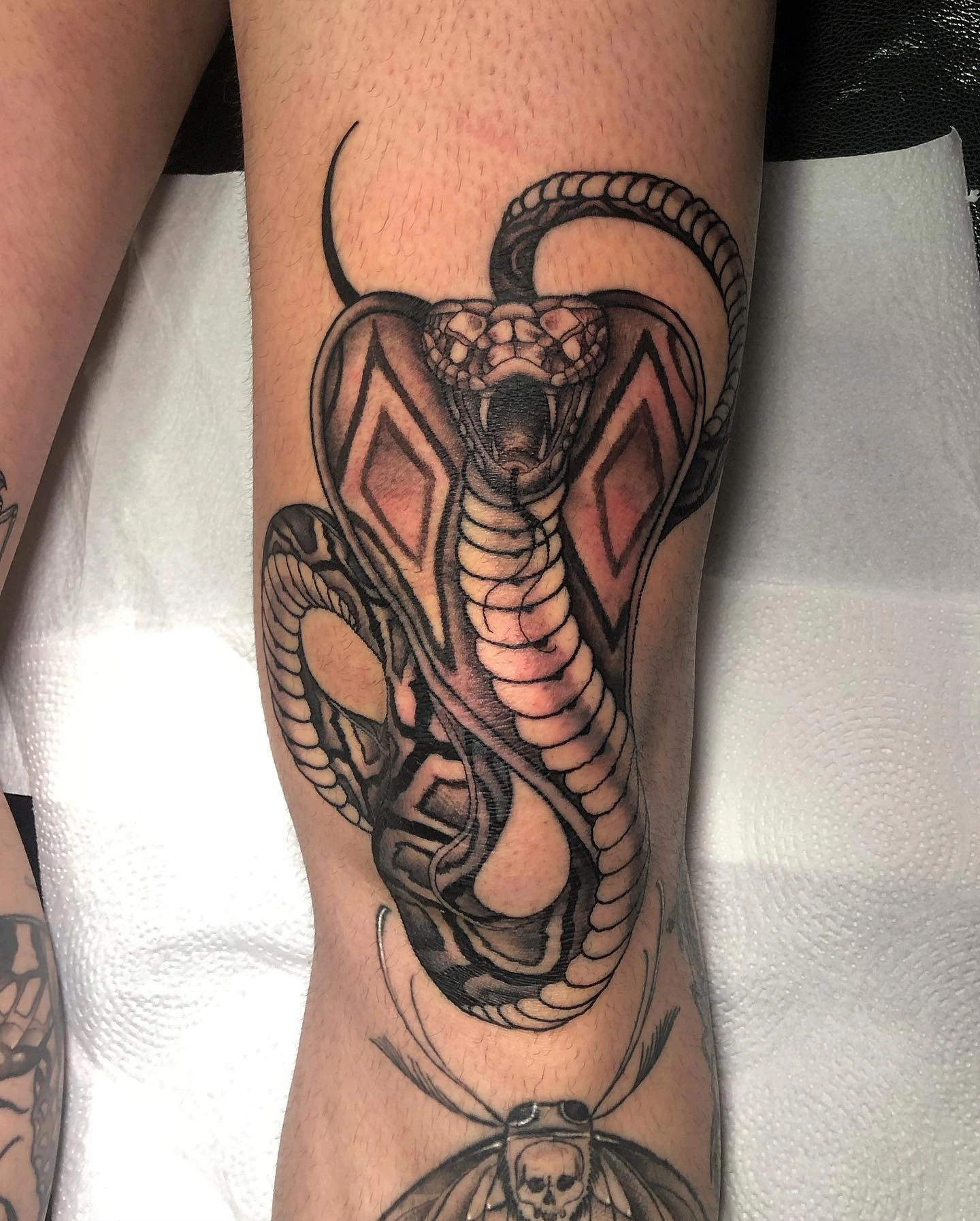 Cobra rising with diamond hood markings