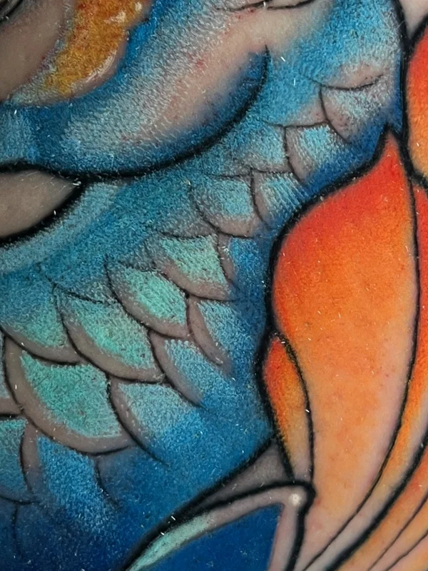Farge & illustrativ