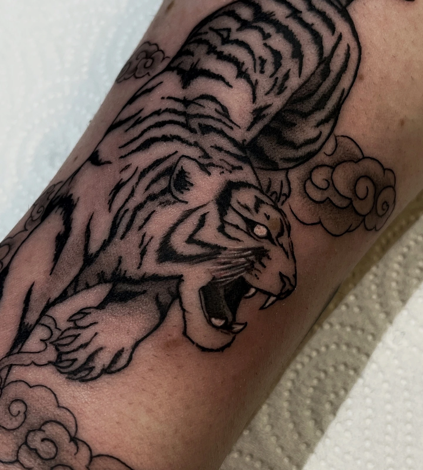 Japanese tiger close-up — finished piece