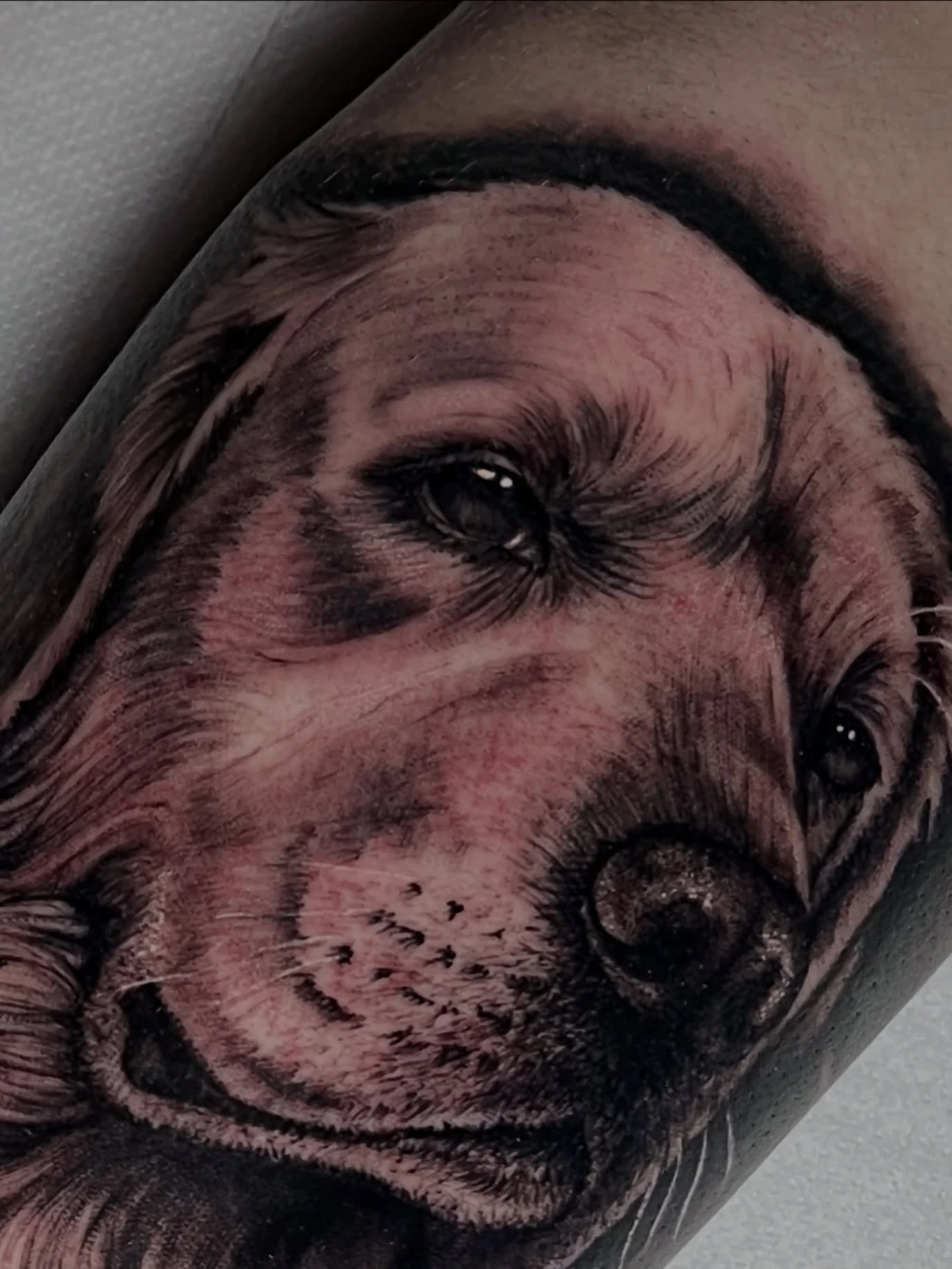 Realistic golden retriever portrait close-up