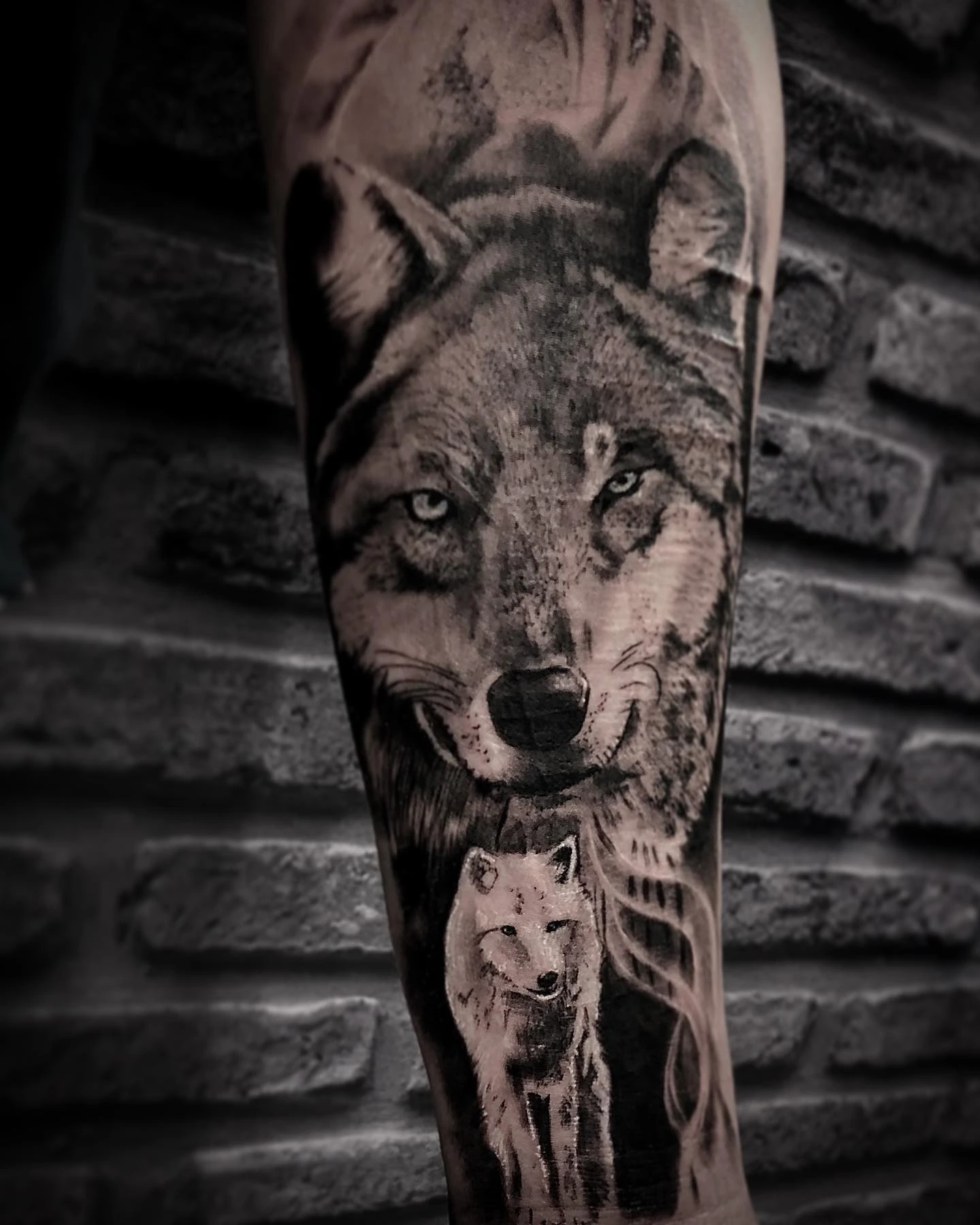 wolf head + small wolf walking near cabin in landscape