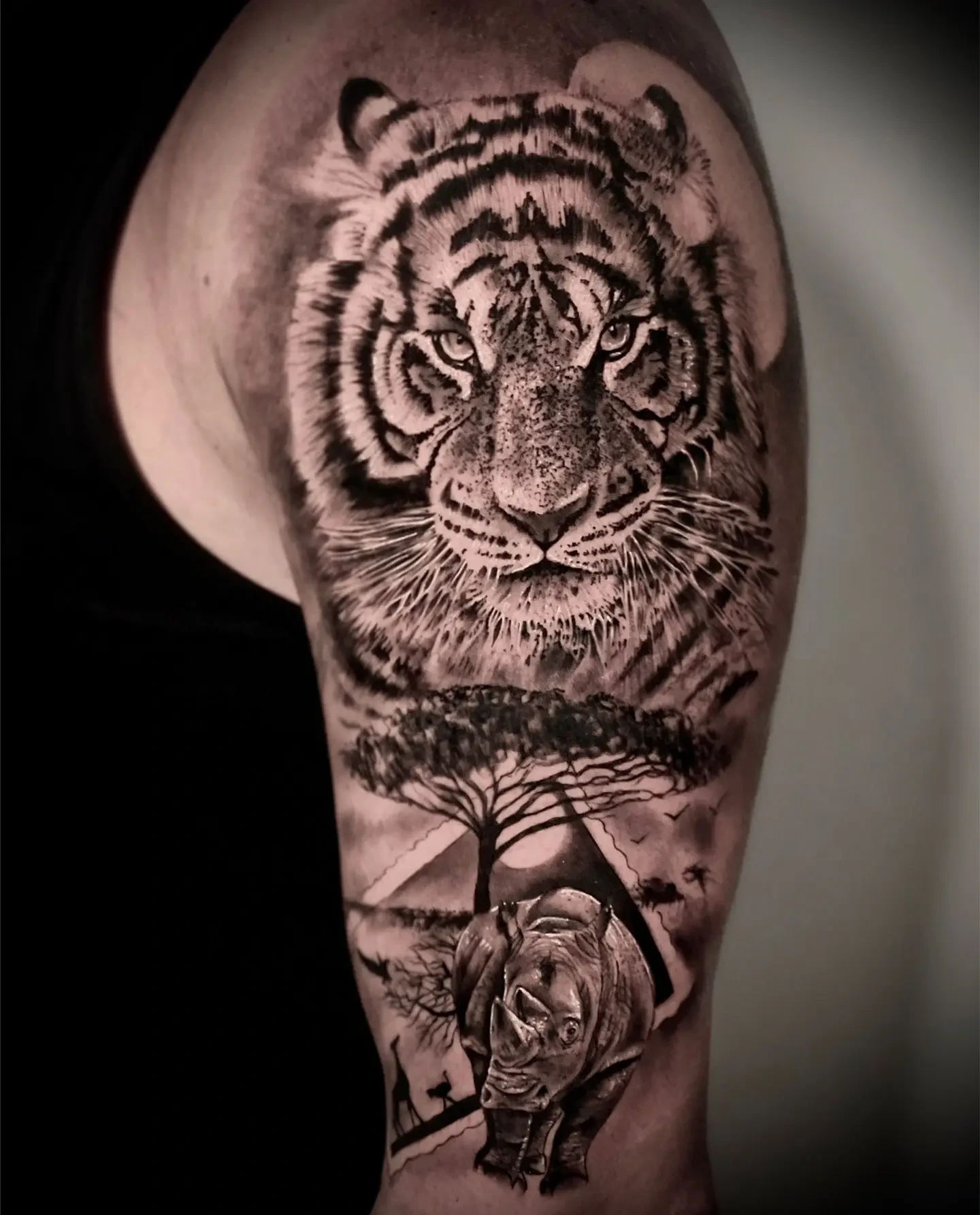 tiger face with African savana landscape (acacia tree, rhino)