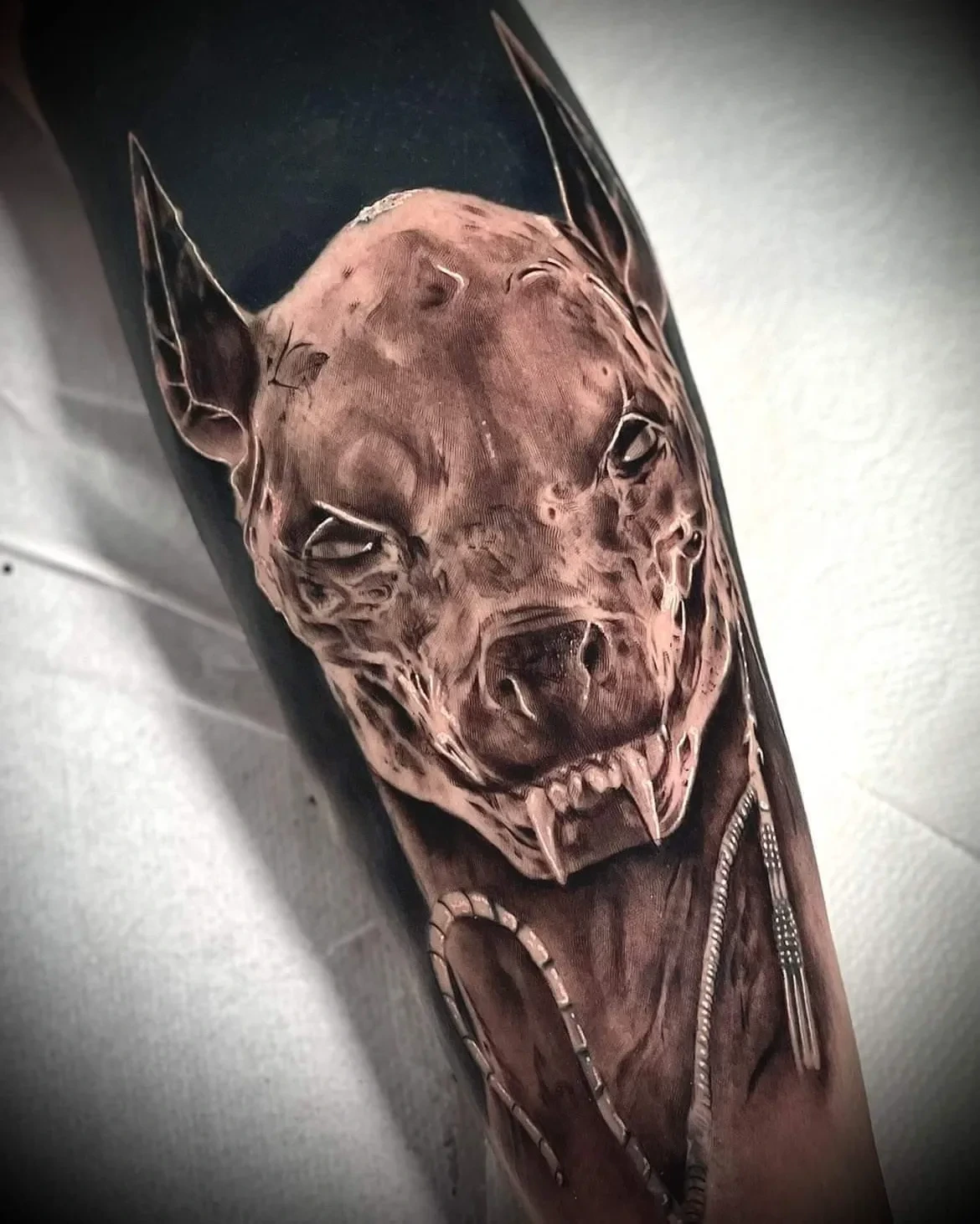snarling pitbull head on black void with hoodie/chain