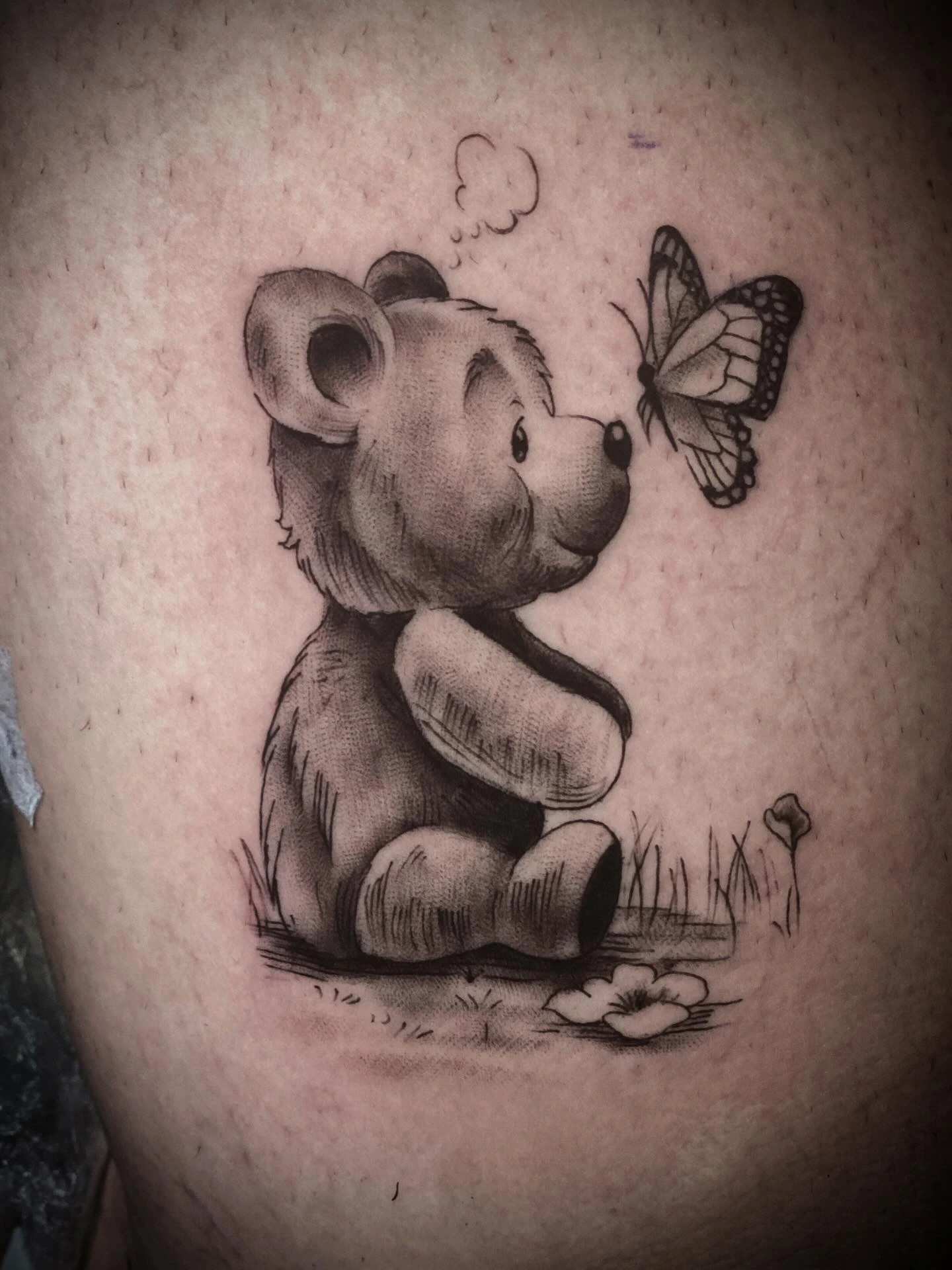 B&G illustrative cute teddy bear with monarch butterfly